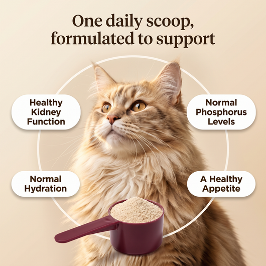 One daily scoop of Struts Kidney, formulated to support healthy kidney function, normal phosphorus levels, normal hydration, and a healthy appetite