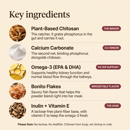 Struts Kidney key ingredients: plant-based chitosan binder, calcium carbonate co-binder, omega-3 EPA DHA, bonito flakes, inulin and vitamin E. No lactose, no shellfish.