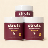3 Tubs - Kidney Protection Protocol