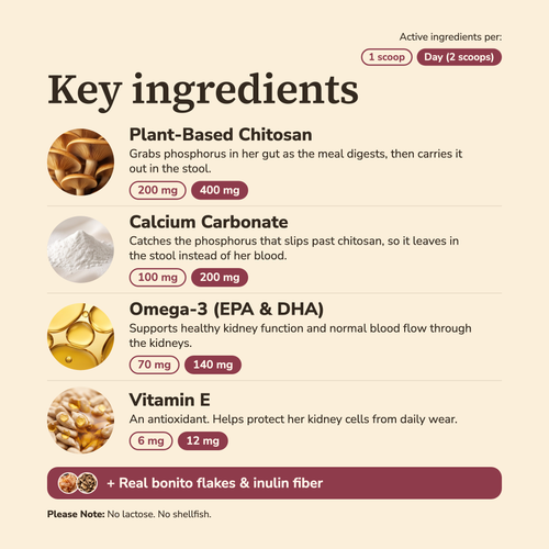 Triple-Action Kidney Support Powder