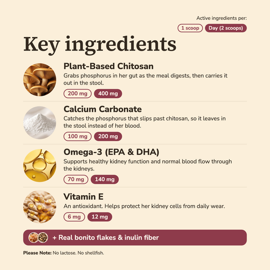 Triple-Action Kidney Support Powder
