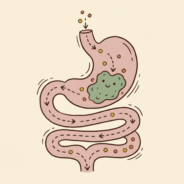Plant-based chitosan